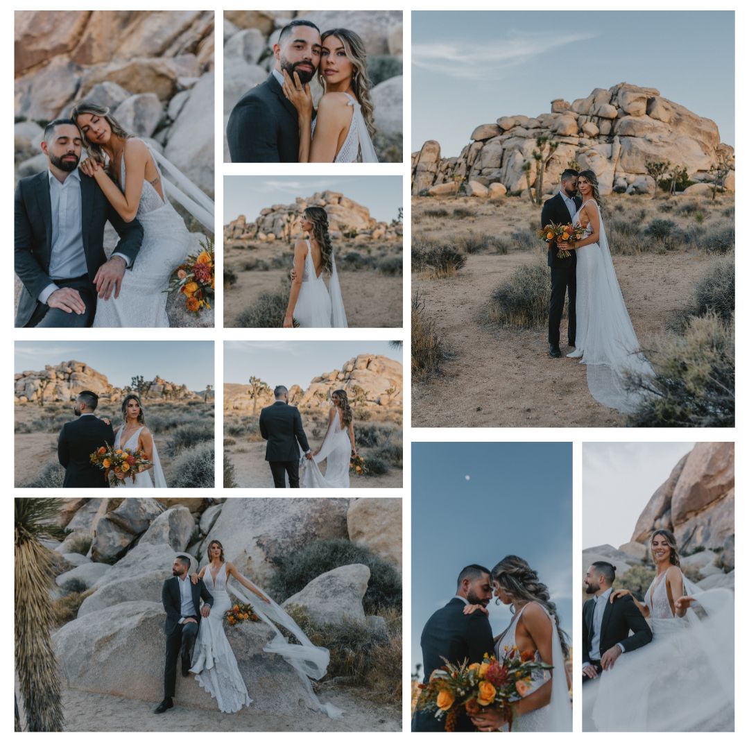 Joshua Tree elopement visual board